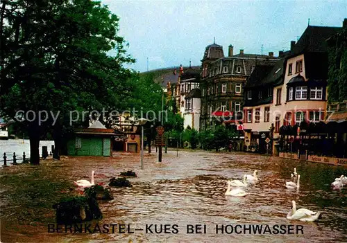 AK / Ansichtskarte Bernkastel Kues Moselufer bei Hochwasser Schwaene Kat. Bernkastel Kues