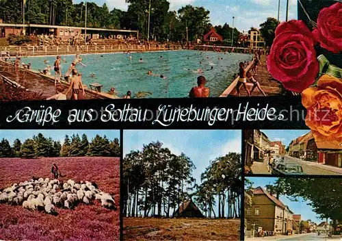 AK / Ansichtskarte Soltau Schwimmbad Ortsansichten Schafherde Lueneburger Heide Kat. Soltau