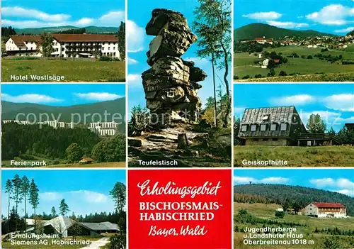 AK / Ansichtskarte Habischried Niederbayern Hotel Wastlsaege Ferienpark Erholungsheim Teufelstisch Felsen Geiskopfhuette Jugendherberge Landschaftspanorama Kat. Bischofsmais