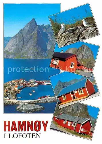AK / Ansichtskarte Hamnoy Hafen Wohnhaeuser Wasservoegel Berge