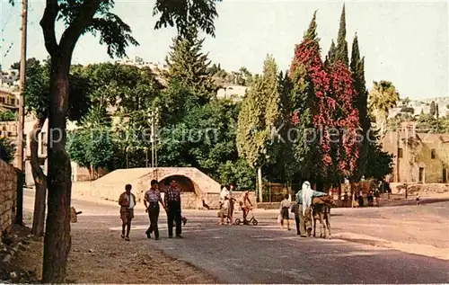 AK / Ansichtskarte Nazareth Israel Mary Well  Kat. Nazareth Illit