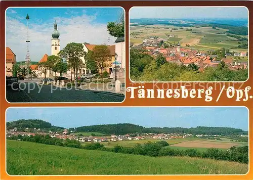 AK / Ansichtskarte Taennesberg  Kat. Taennesberg