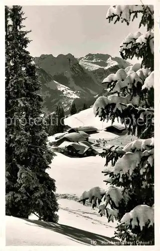 AK / Ansichtskarte Gstaad Hornberghuetten Kat. Gstaad