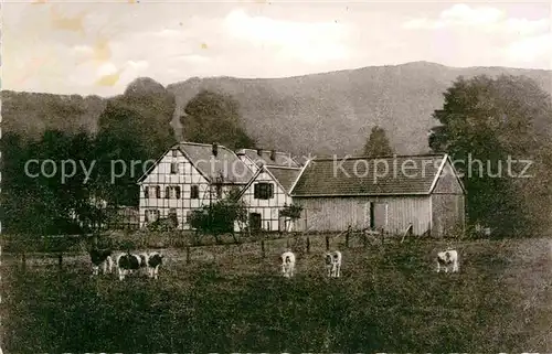 AK / Ansichtskarte Glueder Solingen Hof Kuehe Kat. Solingen