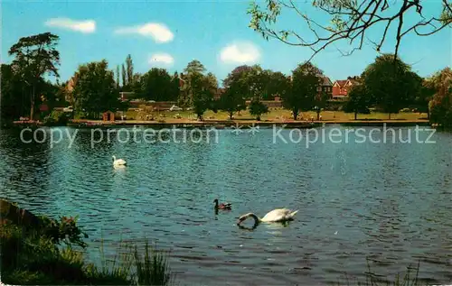 AK / Ansichtskarte Petersfield Lake Schwaene Kat. East Hampshire