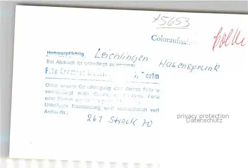 AK / Ansichtskarte Leichlingen Metzholz Hasensprunk Speisesaal