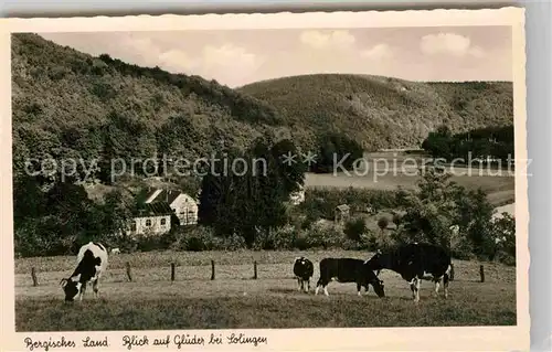 AK / Ansichtskarte Glueder Solingen Kuhweide Panorama Kat. Solingen