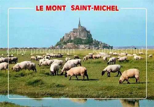 AK / Ansichtskarte Le Mont Saint Michel Schafherde Kat. Le Mont Saint Michel