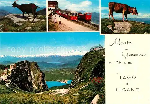 AK / Ansichtskarte Monte Generoso Gemsen Bergbahn Alm Lago di Lugano Kat. Monte Generoso