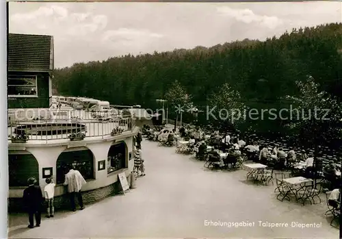 AK / Ansichtskarte Diepental Erholungsgebiet Talsperre Kat. Leichlingen (Rheinland)