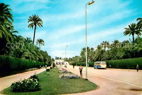 AK / Ansichtskarte Elche Avenida de la Estacion Kat. Elche