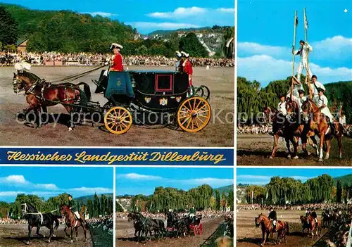 AK / Ansichtskarte Dillenburg Hengstparade Hessisches Landgestuet Pferdesport Kat. Dillenburg
