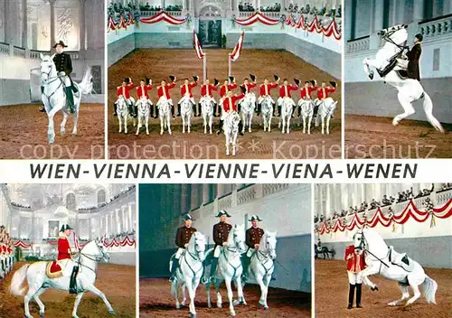 AK / Ansichtskarte Wien Spanische Hofreitschule Lippizaner Pferde Kat. Wien