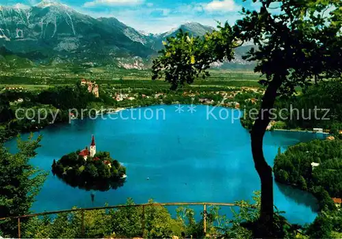 AK / Ansichtskarte Bled Panorama Bleder See Insel Berge