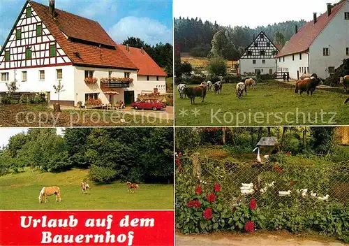 AK / Ansichtskarte Velden Mittelfranken Urlaub auf dem Bauernhof Kat. Velden Pegnitz