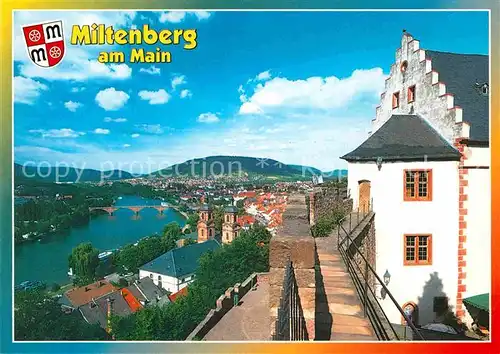 AK / Ansichtskarte Miltenberg Main Blick von der Mildenburg auf den Main Kat. Miltenberg