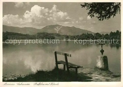 AK / Ansichtskarte Seehausen Staffelsee Seepanorama mit Hoernle Kat. Seehausen a.Staffelsee