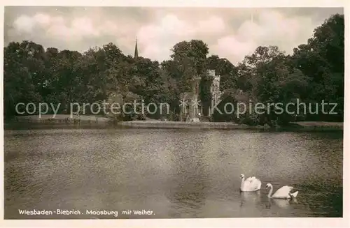 AK / Ansichtskarte Biebrich Wiesbaden Moosburg mit Weiher Schwaene