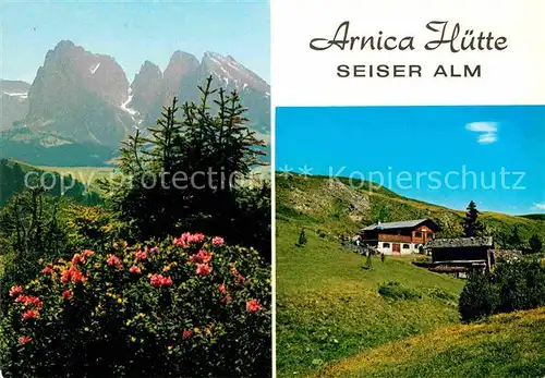 AK / Ansichtskarte Seiser Alm Arnica Huette Jausenstation Dolomiten Kat. Seis am Schlern Kastelruth Suedtirol