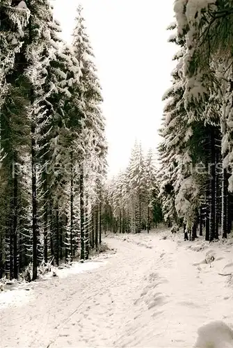 AK / Ansichtskarte Silbach Winterberg Winterlandschaft