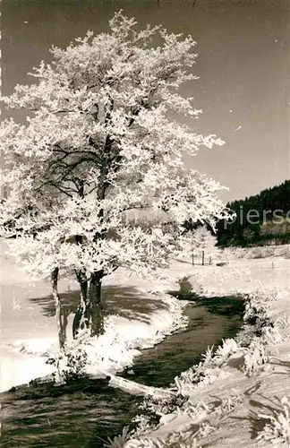 AK / Ansichtskarte Silbach Winterberg Winterlandschaft