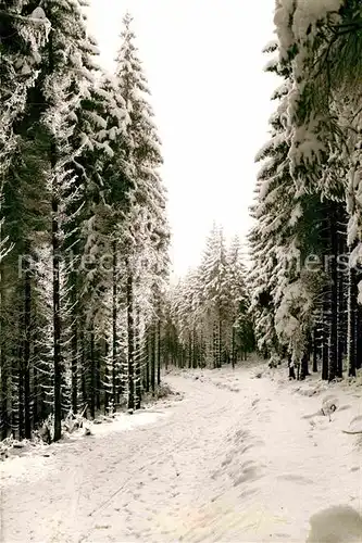 AK / Ansichtskarte Silbach Winterberg Winterlandschaft