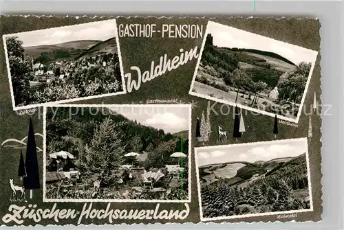 AK / Ansichtskarte Zueschen Sauerland Waldheim Nuhnetal Kat. Winterberg