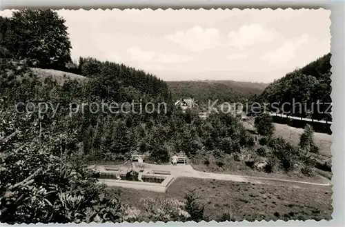 AK / Ansichtskarte Winterberg Hochsauerland Gasthof Pension Daubermuehle Schwimmbad Kat. Winterberg