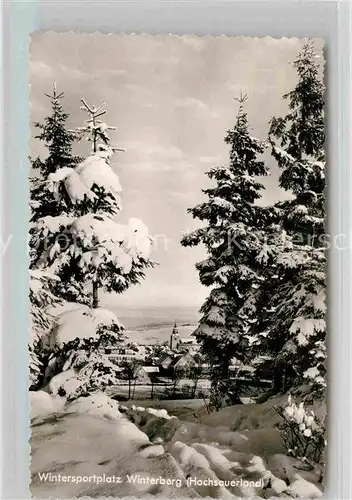 AK / Ansichtskarte Winterberg Hochsauerland Winterlandschaft Kat. Winterberg