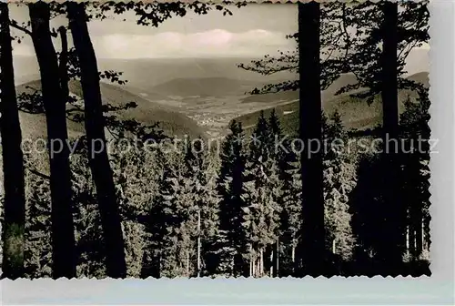 AK / Ansichtskarte Siedlinghausen Panorama Kat. Winterberg