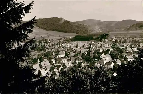 AK / Ansichtskarte Siedlinghausen Panorama Kat. Winterberg