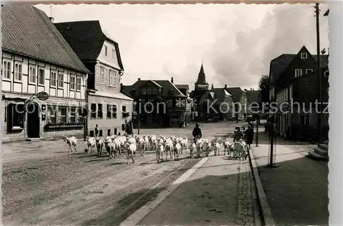 AK / Ansichtskarte Winterberg Hochsauerland Ortsansicht Ziegenherde Kat. Winterberg