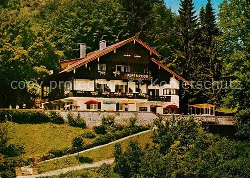 AK / Ansichtskarte Bad Wiessee Hotel Garni Alpenrose Kat. Bad Wiessee