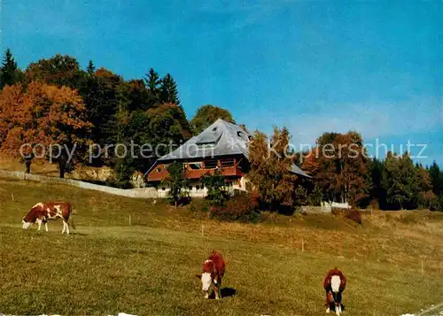 AK / Ansichtskarte Titisee Neustadt Jugendherberge  Kat. Titisee Neustadt