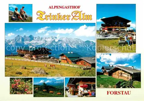 AK / Ansichtskarte Forstau Alpengasthof Trinker Alm Kat. Forstau