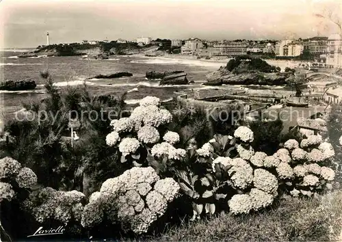 AK / Ansichtskarte Biarritz Pyrenees Atlantiques Hortensias Plage Phare  Kat. Biarritz