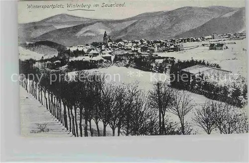 AK / Ansichtskarte Winterberg Hochsauerland Winterlandschaft Kat. Winterberg