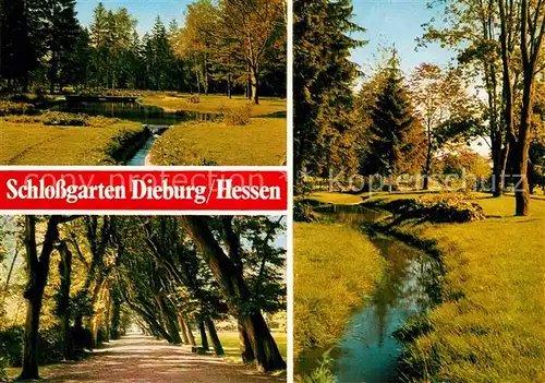 AK / Ansichtskarte Dieburg Schlossgarten Kat. Dieburg