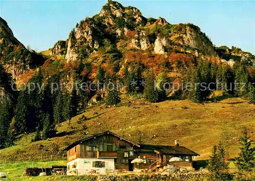 AK / Ansichtskarte Bruendlingalm Hochfelln Kat. Bruendling Alm