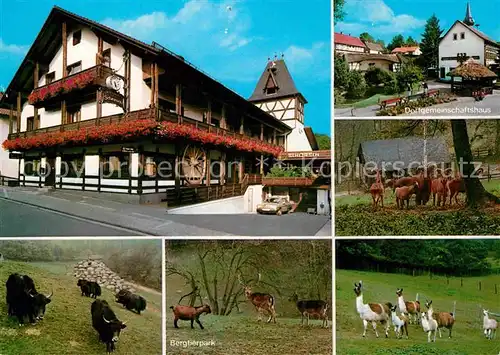 AK / Ansichtskarte Erlenbach Bergstrasse Restaurant Cafe Schorsch Wildgehege Kat. Fuerth