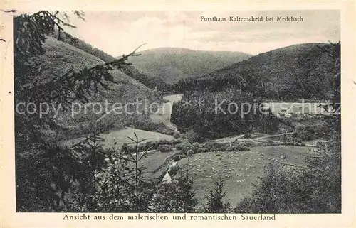 AK / Ansichtskarte Medebach Panorama Blick zum Forsthaus Kaltenscheid Kat. Medebach