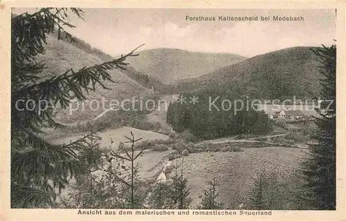 AK / Ansichtskarte Medebach Panorama Blick zum Forsthaus Kaltenscheid Kat. Medebach