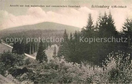 AK / Ansichtskarte Medebach Panorama Schlossberg Wald Kat. Medebach