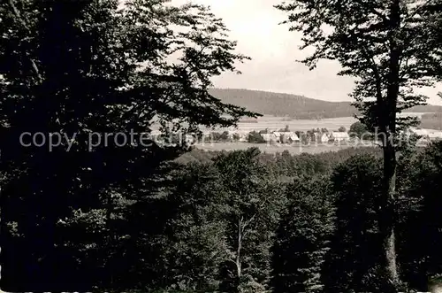 AK / Ansichtskarte Kuestelberg Panorama Blick vom Waldrand aus Kat. Medebach