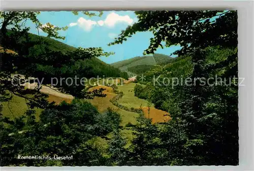 AK / Ansichtskarte Hallenberg Panorama Liesetal Kat. Hallenberg