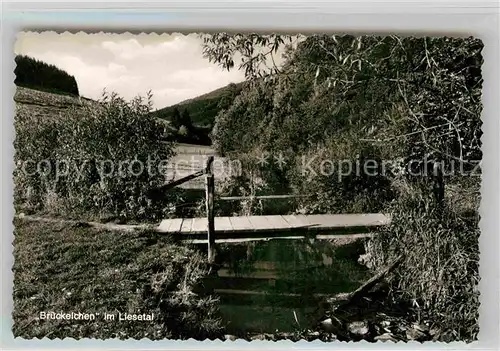 AK / Ansichtskarte Liesen Brueckelchen im Liesetal Luftkurort Kat. Hallenberg