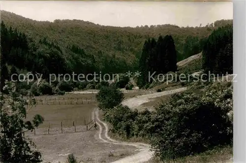 AK / Ansichtskarte Neuludwigsdorf Landschaftspanorama Kat. Bromskirchen