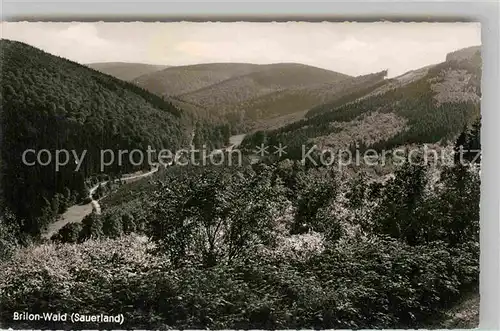 AK / Ansichtskarte Brilon Wald Panorama Kat. Brilon