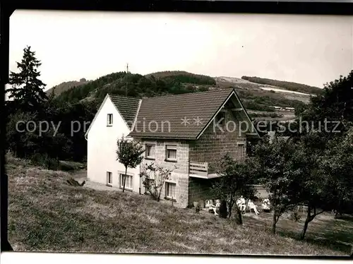 AK / Ansichtskarte Liesen Pension Tannenhof Kat. Hallenberg