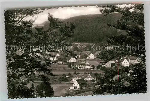 AK / Ansichtskarte Liesen Pension Haus zur schoenen Aussicht Ansicht vom Waldrand aus Kat. Hallenberg